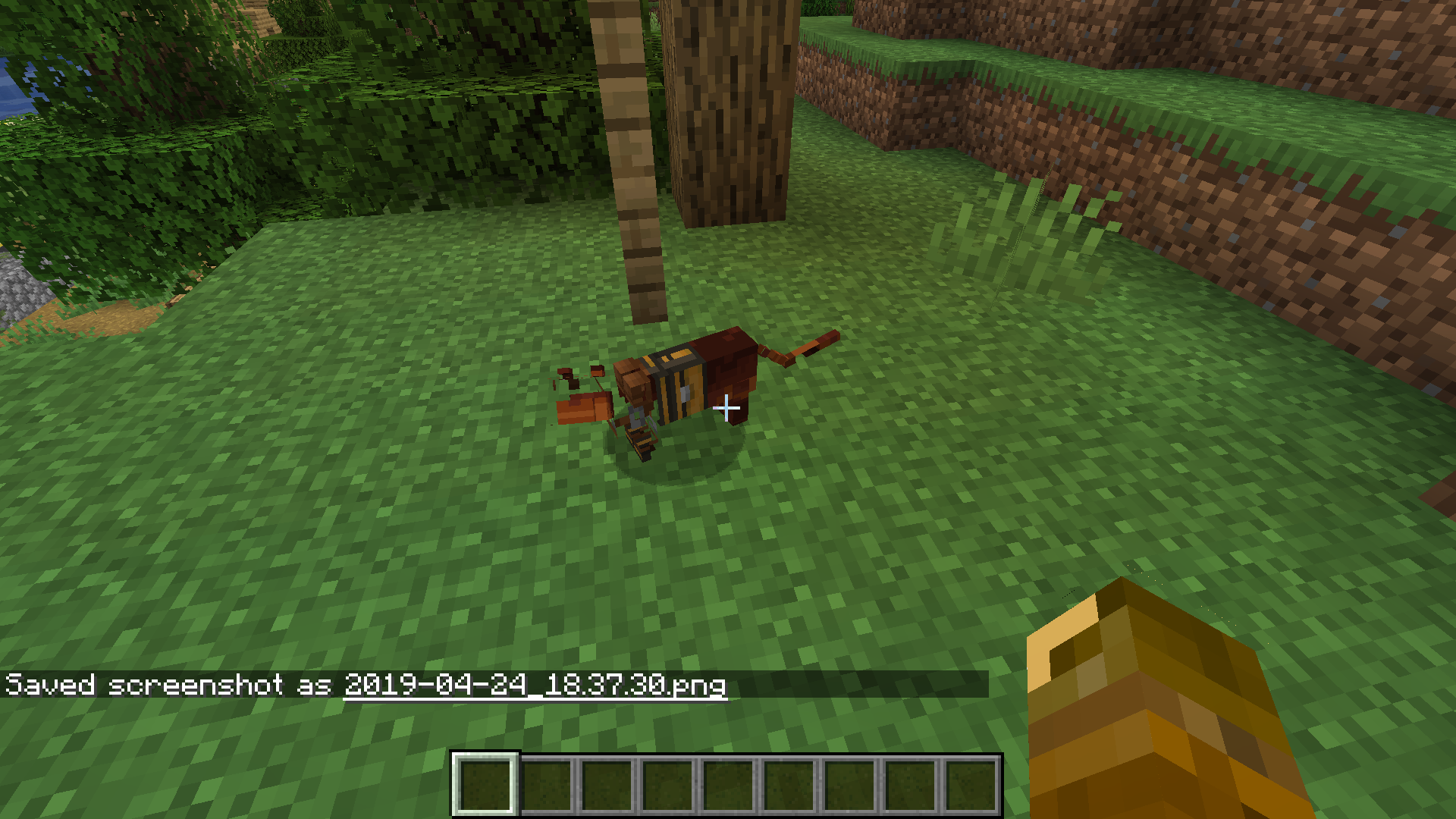 Attached image file