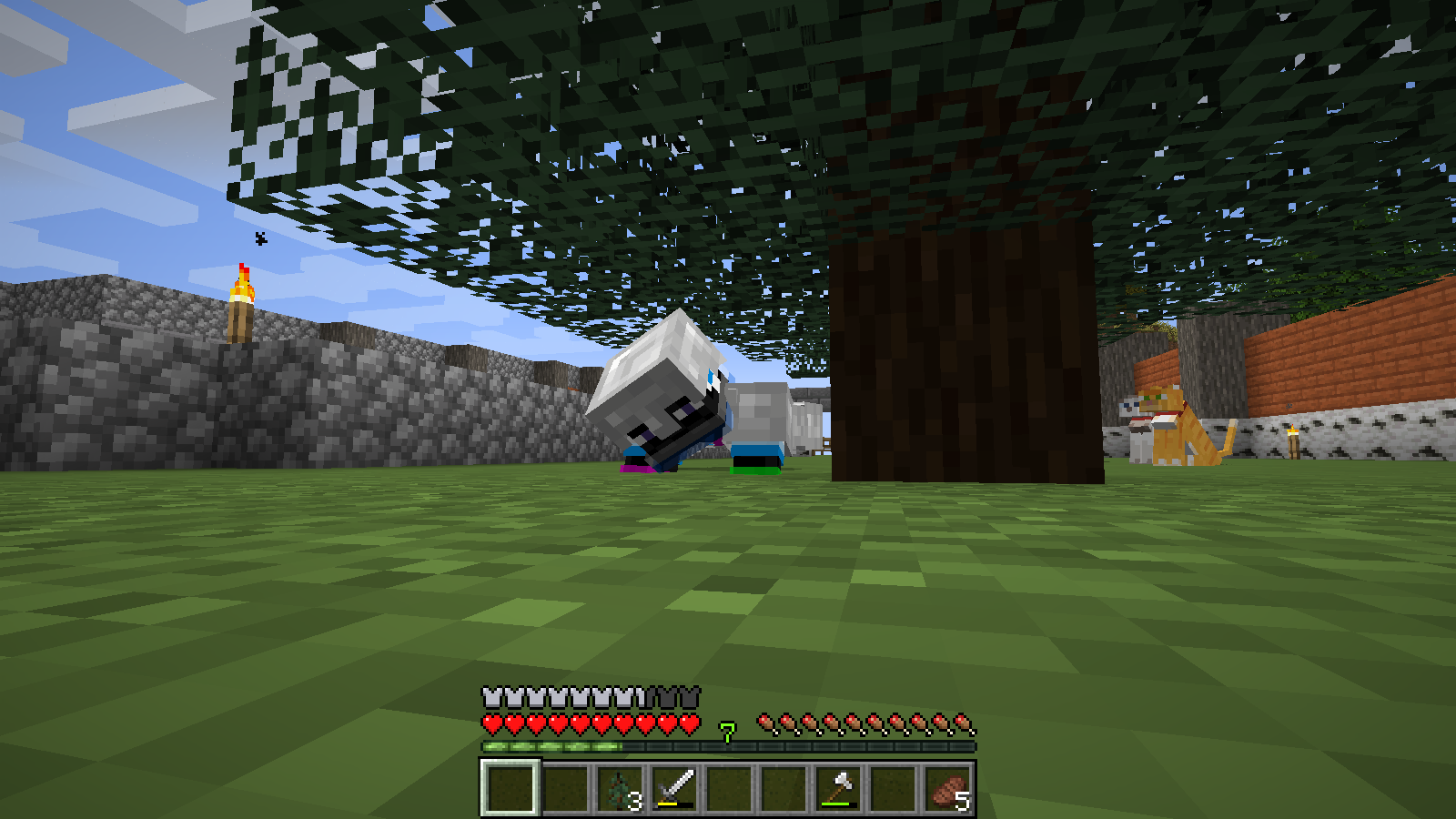 Attached image file