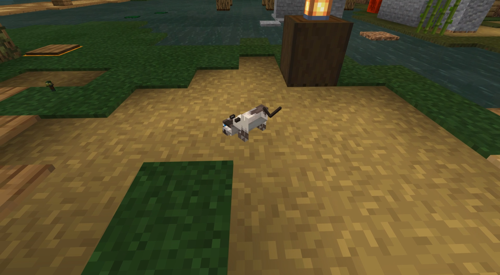 Attached image file