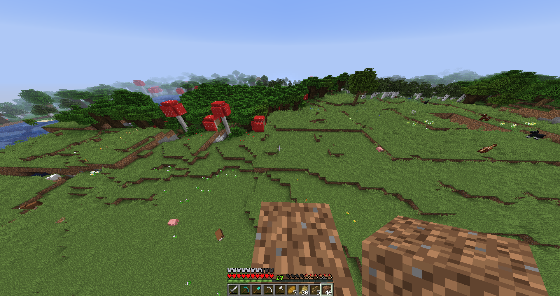 Attached image file