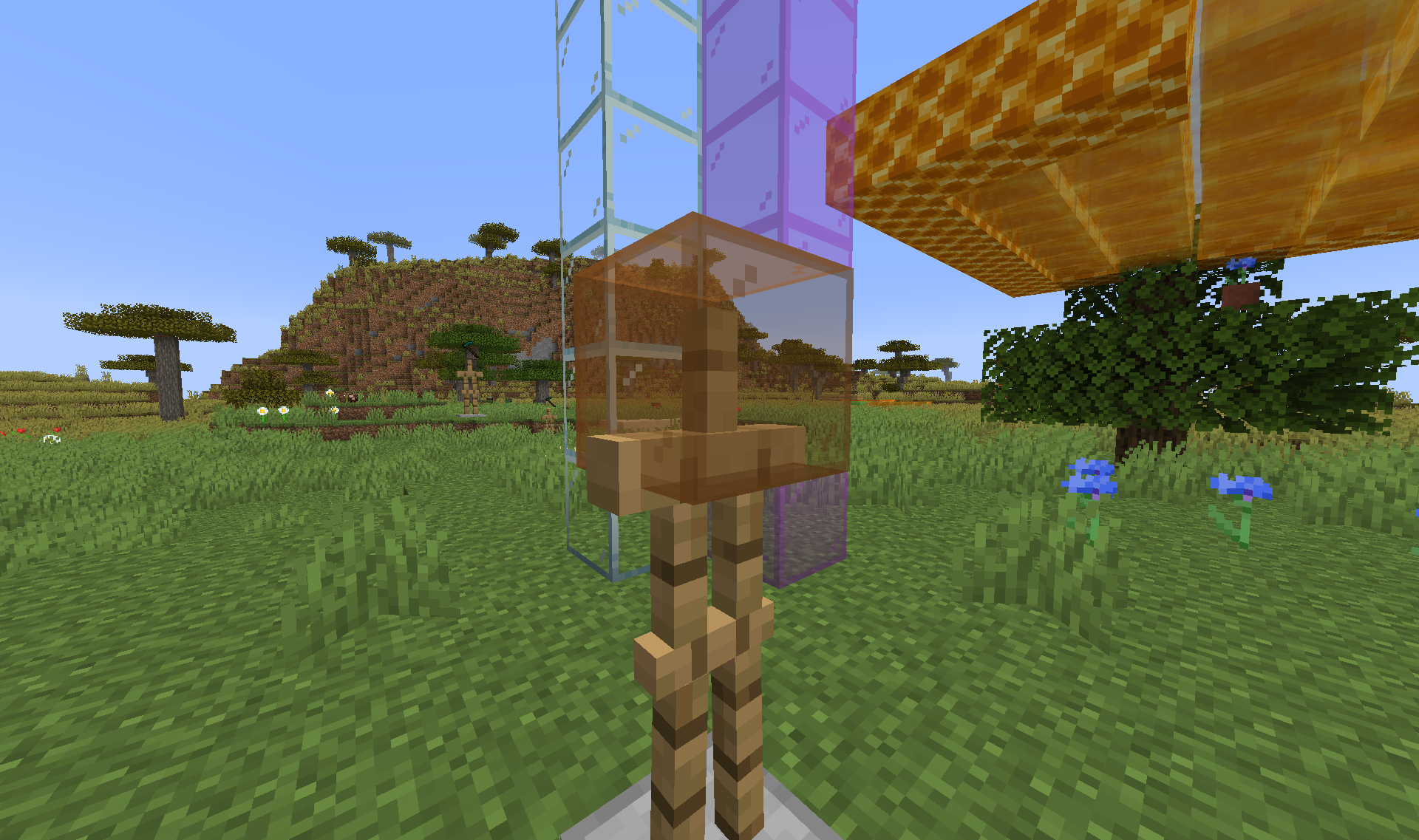 Attached image file