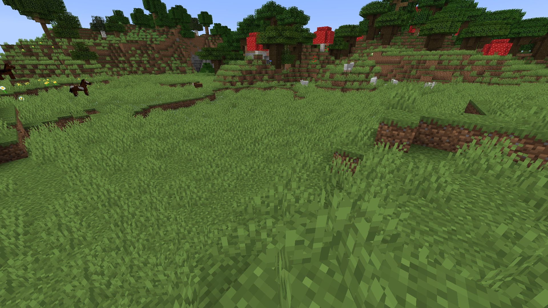 Attached image file