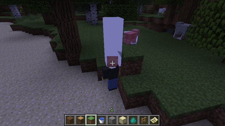 Attached image file