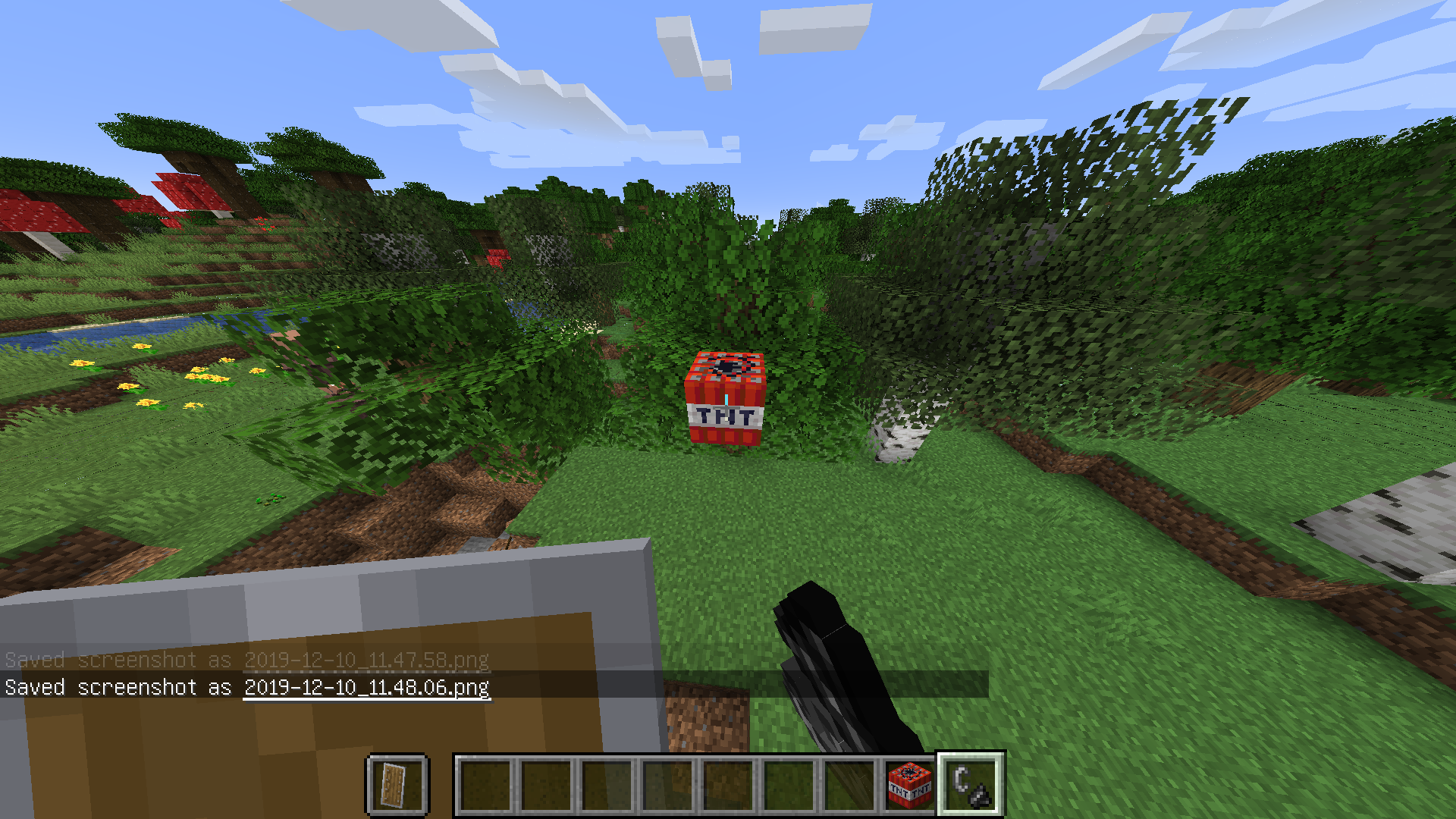 Attached image file