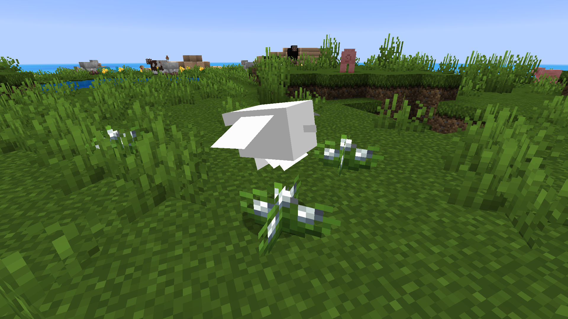 Attached image file