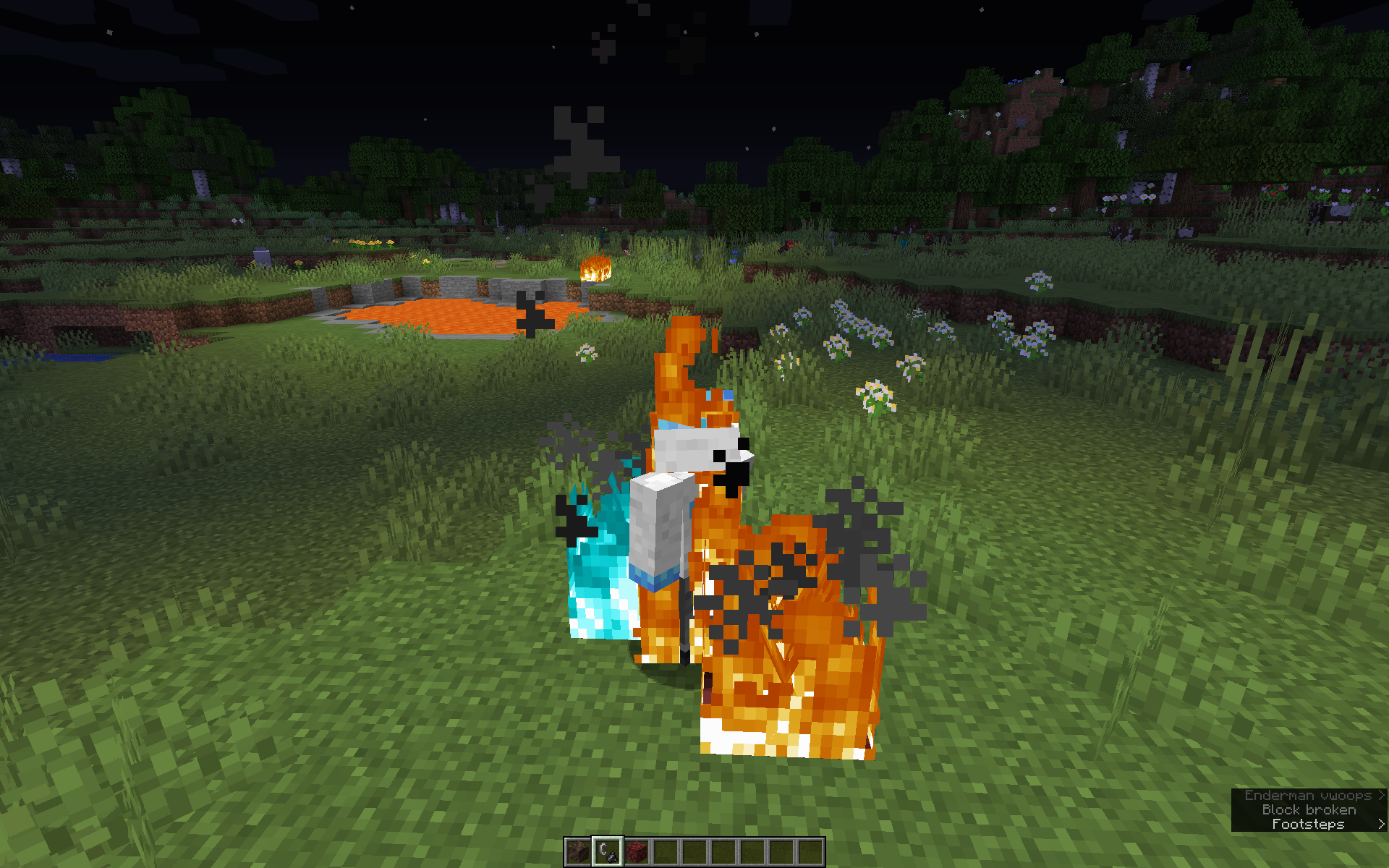 Attached image file
