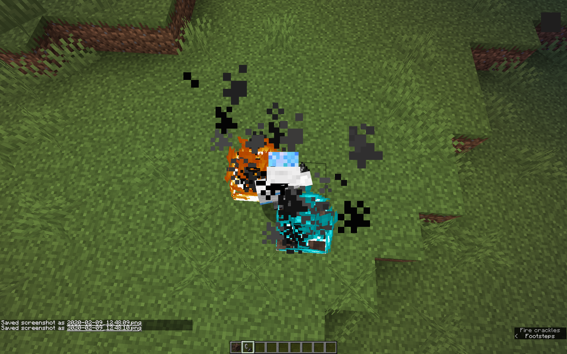 Attached image file
