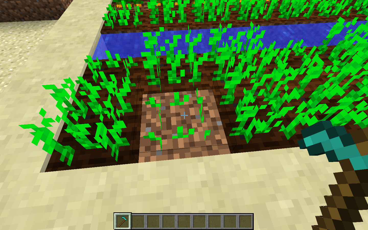 Attached image file