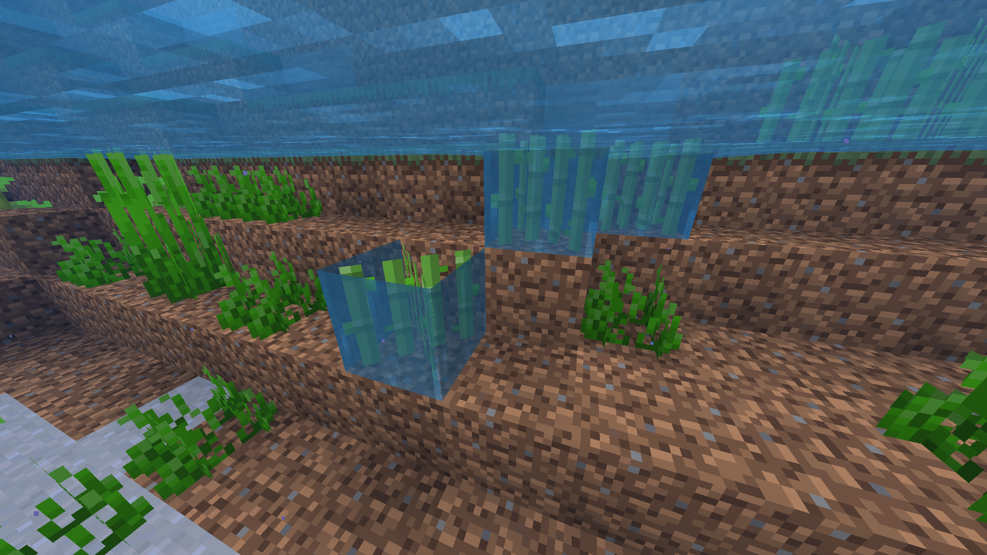 Attached image file