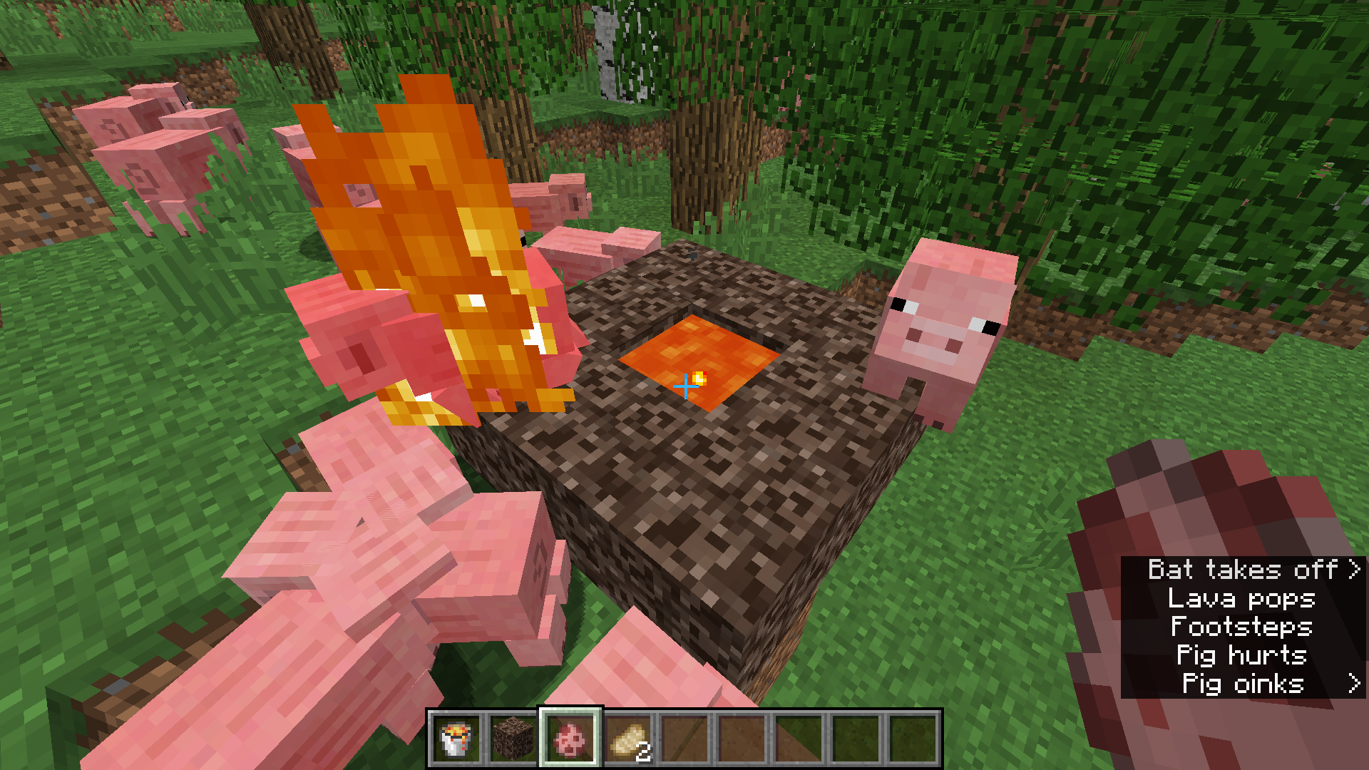 Attached image file