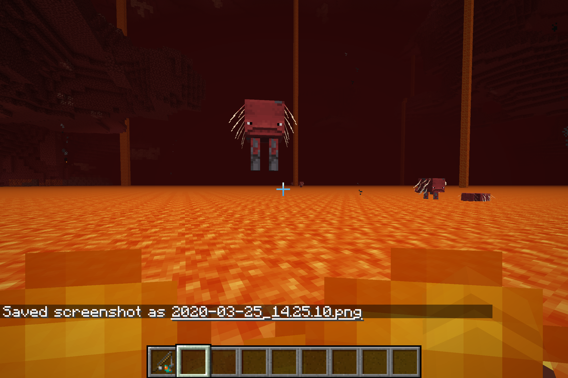 Attached image file