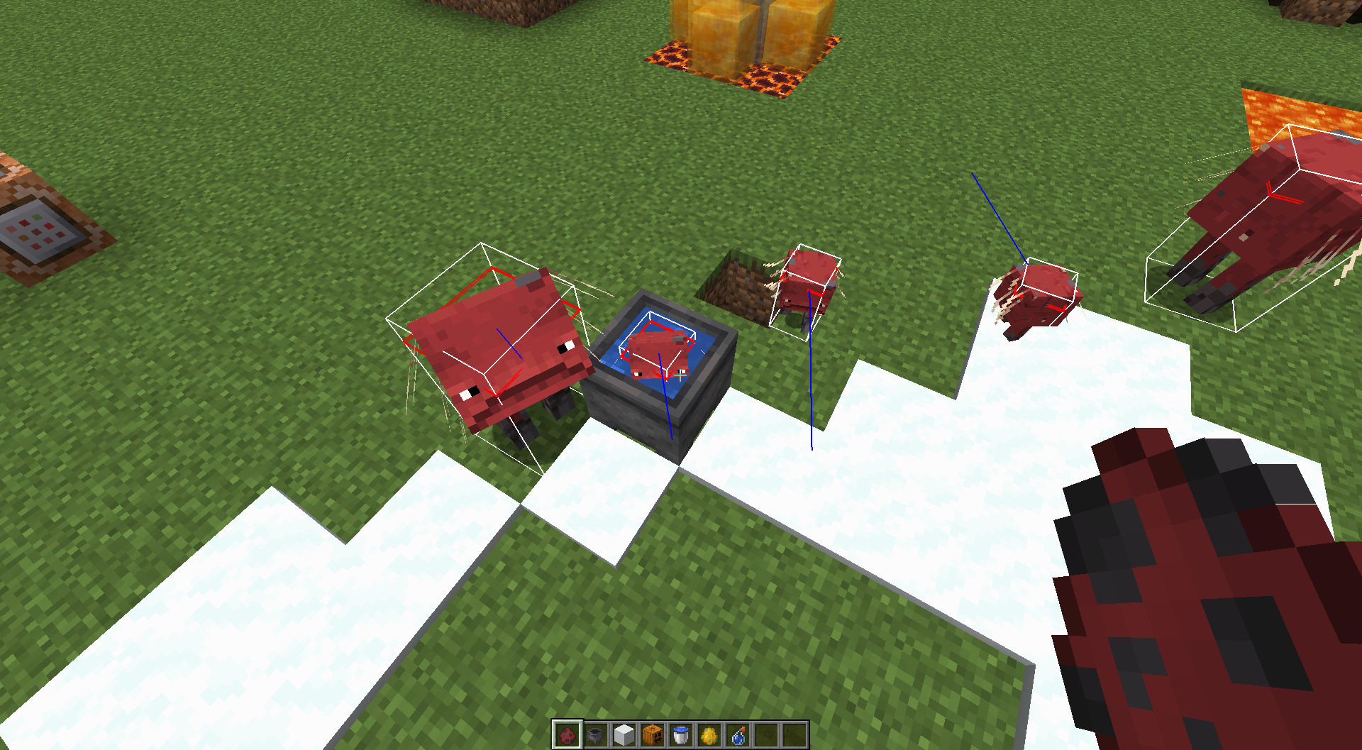 Attached image file