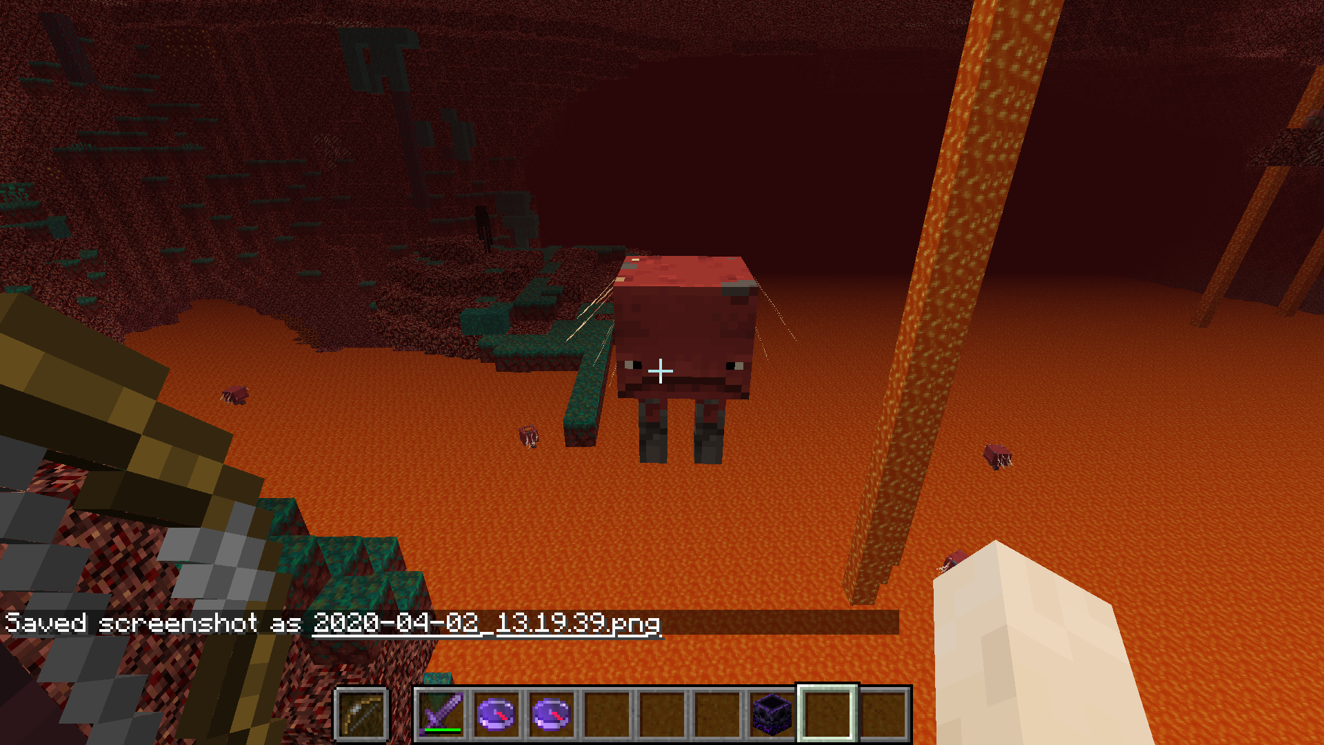 Attached image file