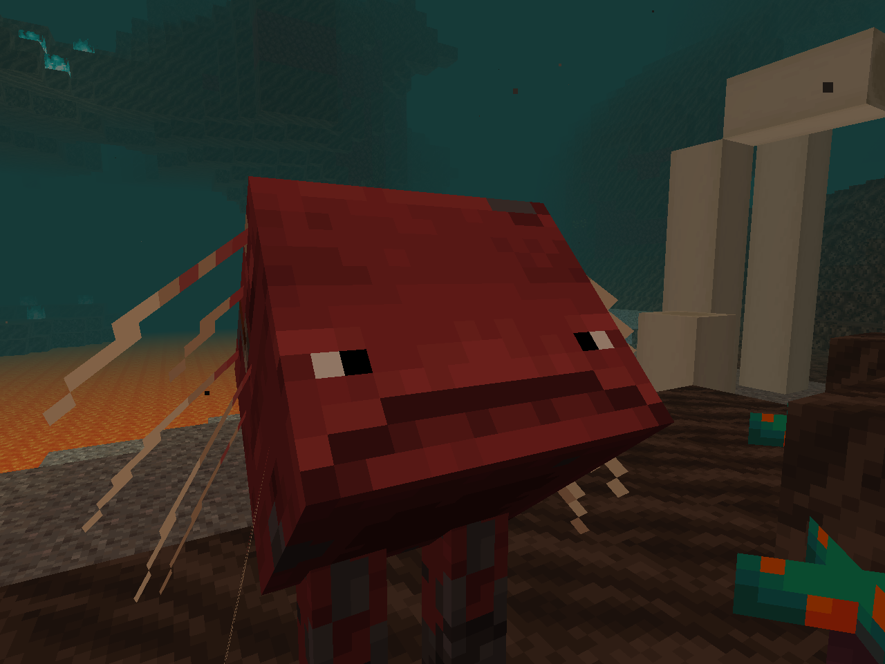 Attached image file