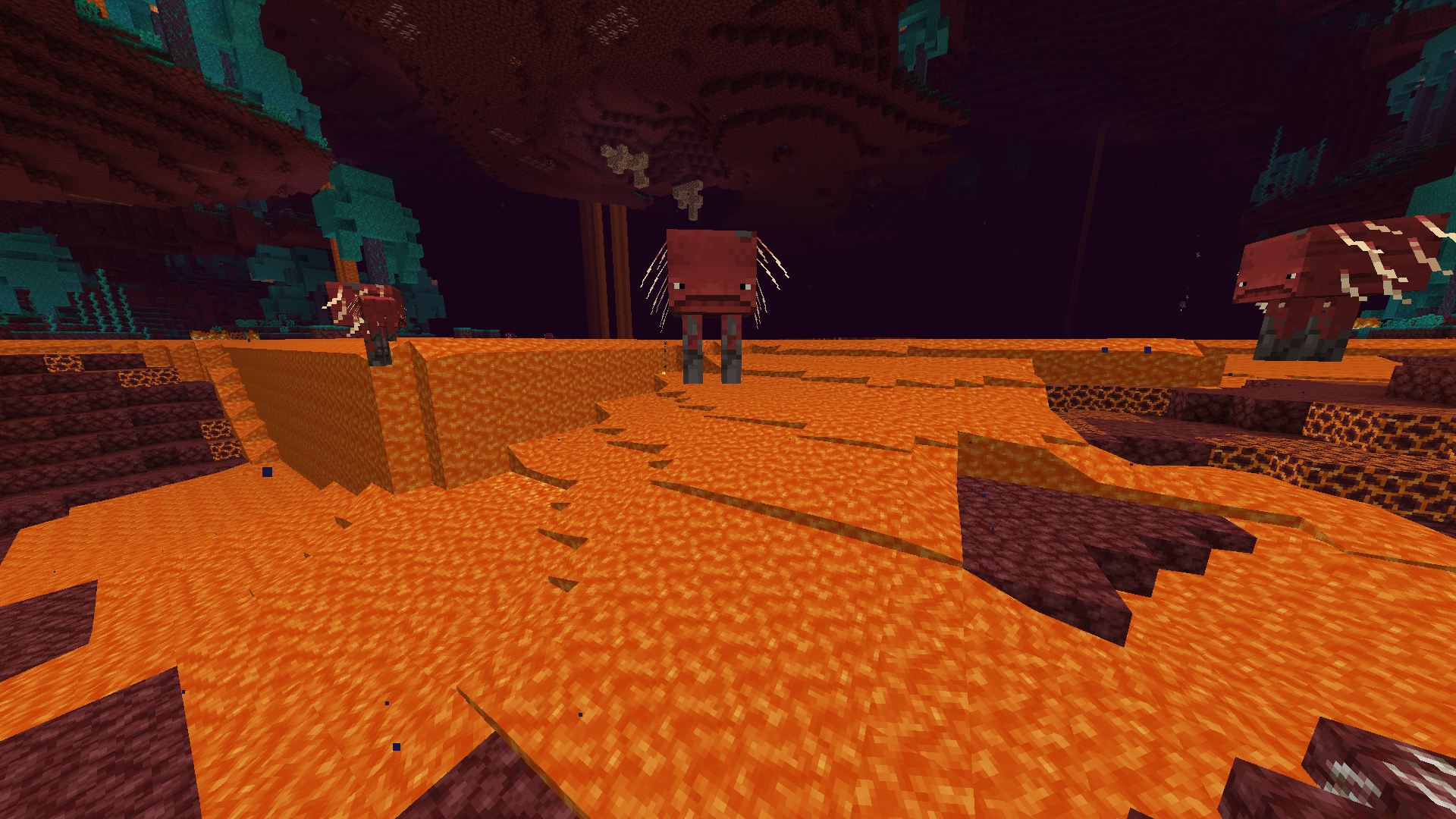 Attached image file