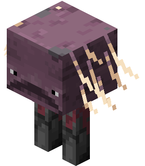 Attached image file