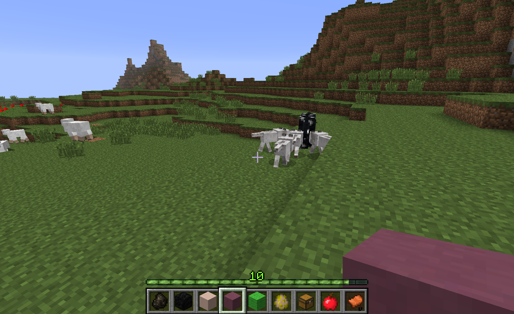 Attached image file