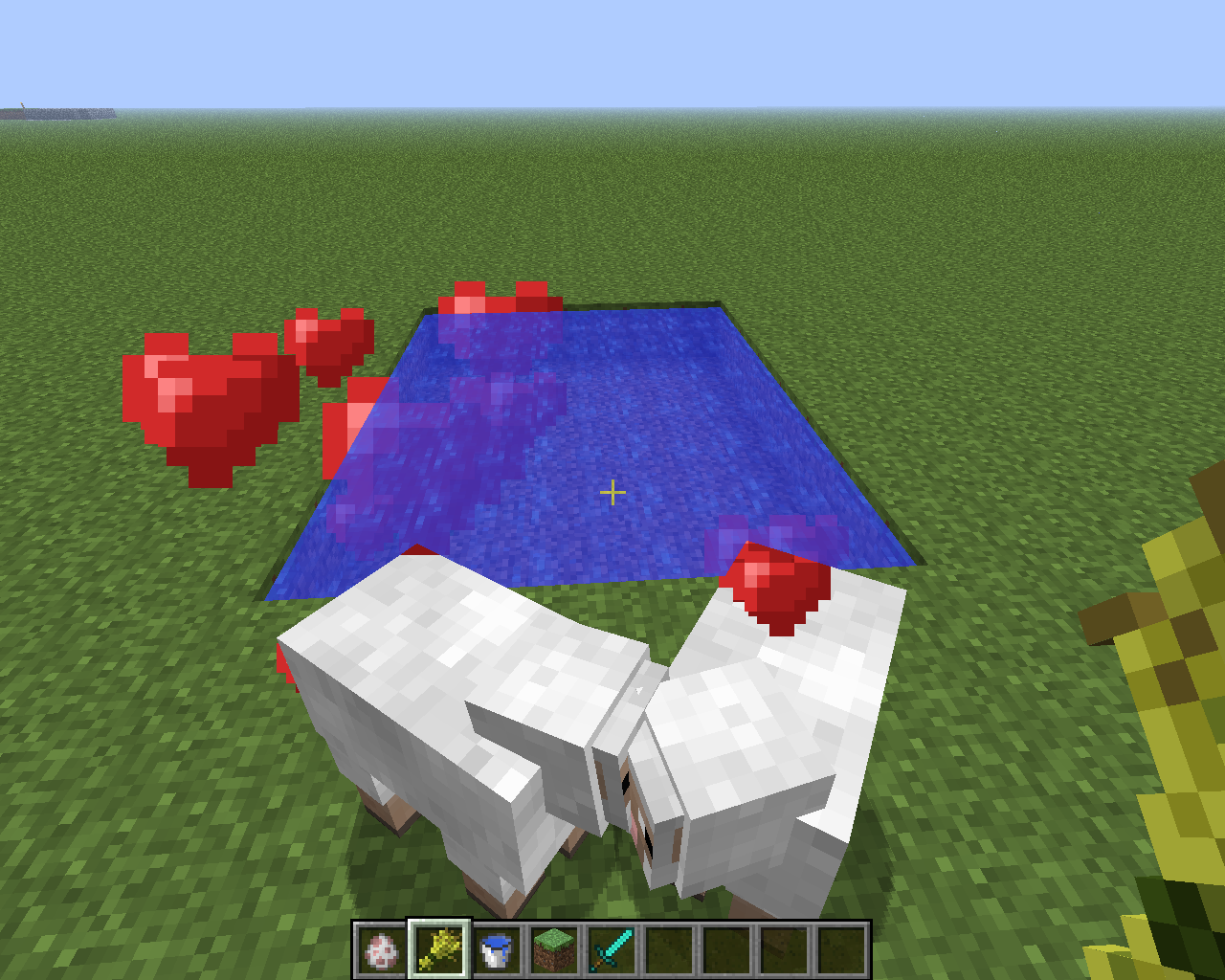 Attached image file