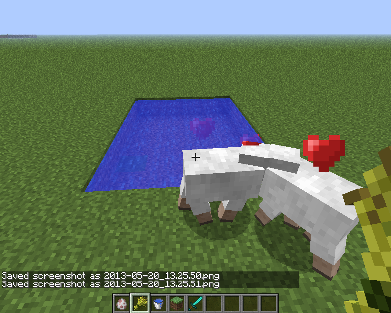 Attached image file