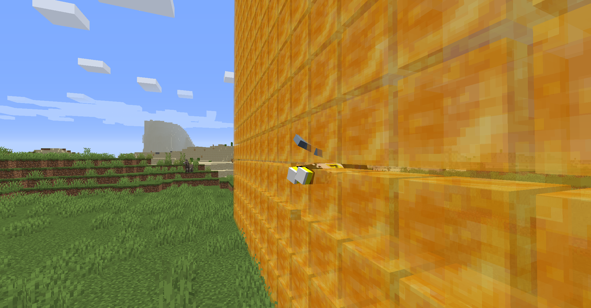 Attached image file