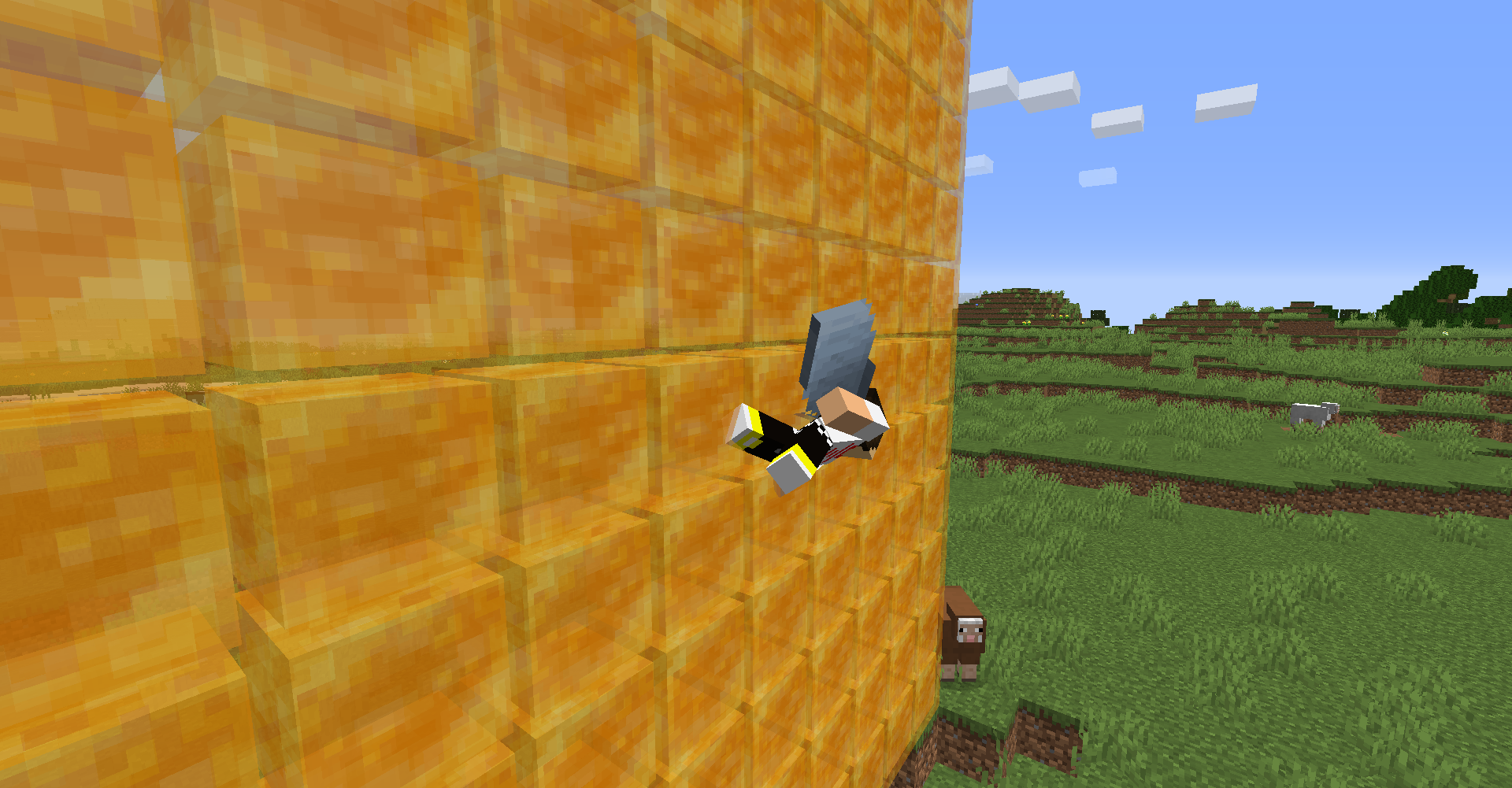 Attached image file