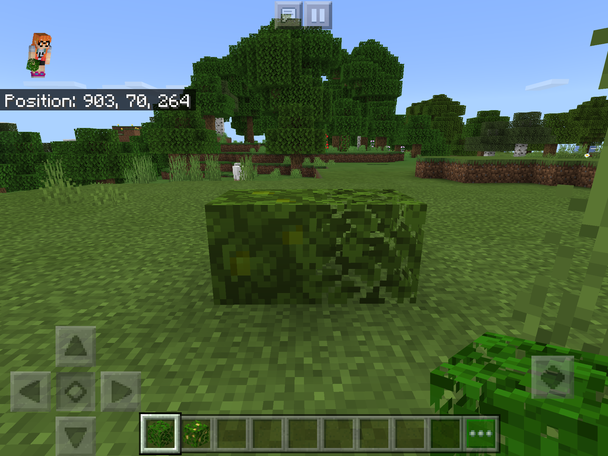 Attached image file