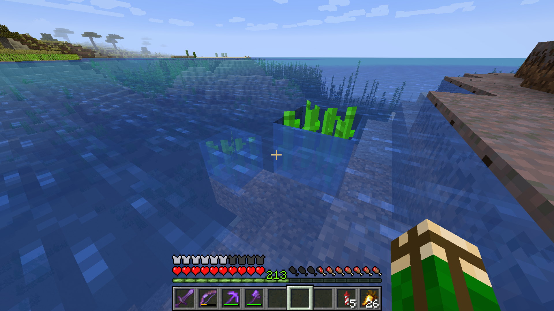 Attached image file