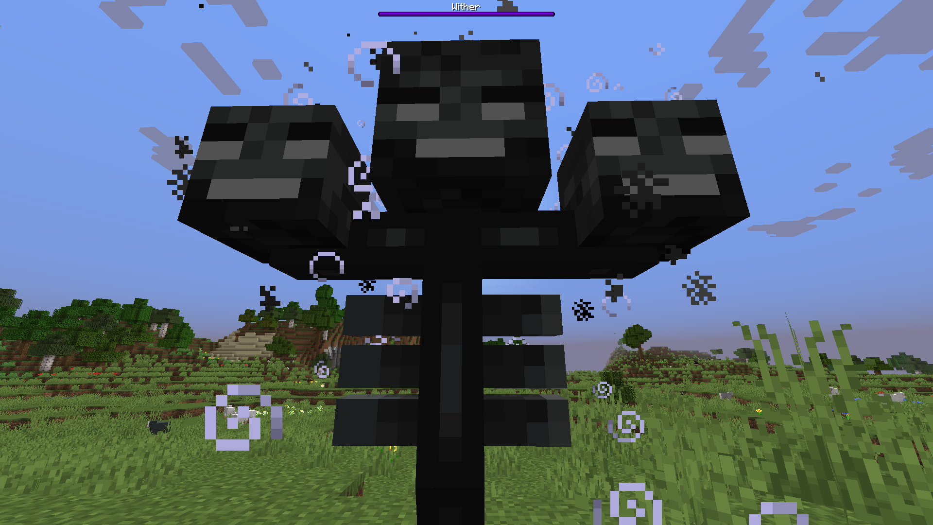 Attached image file