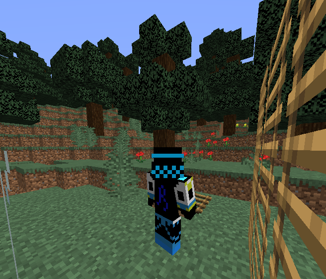 Attached image file
