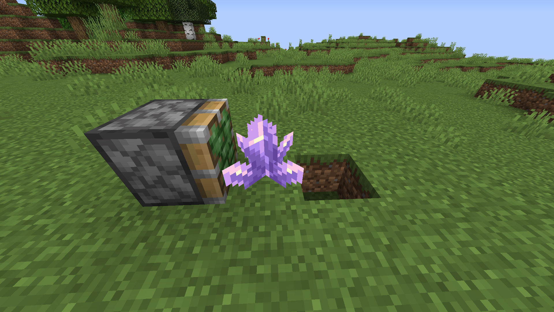 Attached image file