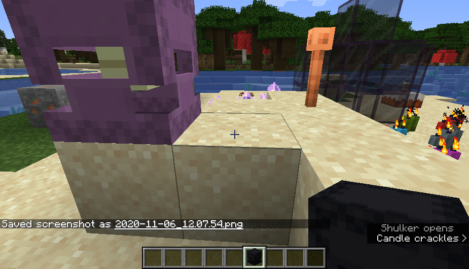 Attached image file