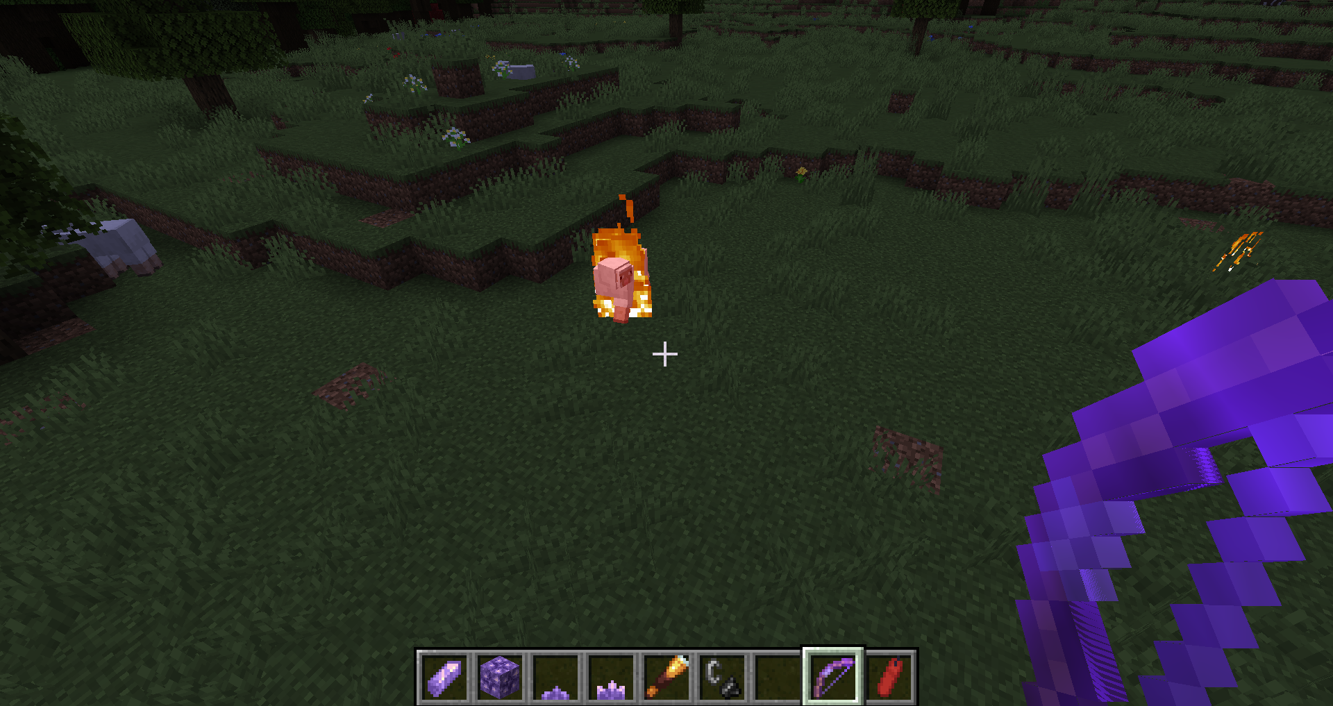 Attached image file