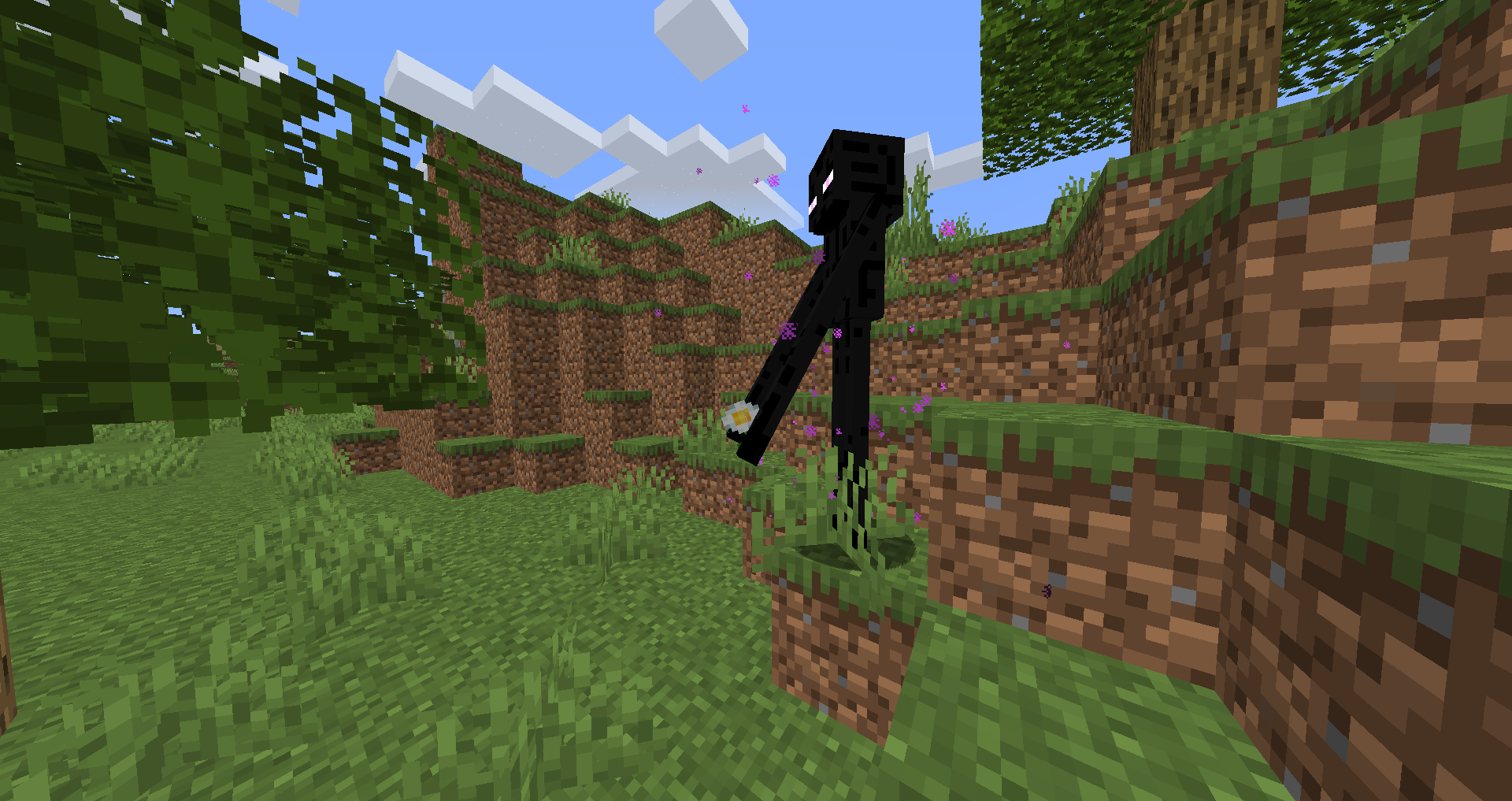 Attached image file