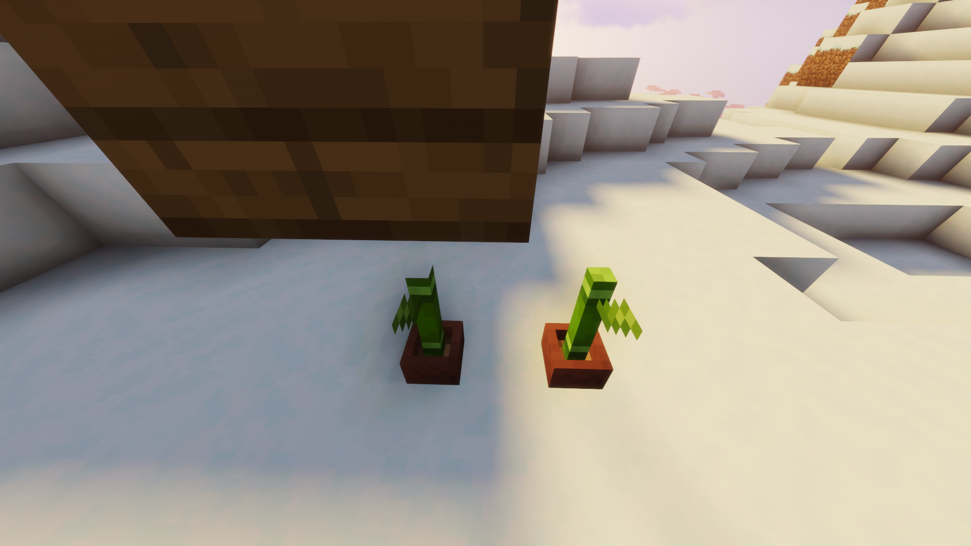 Attached image file