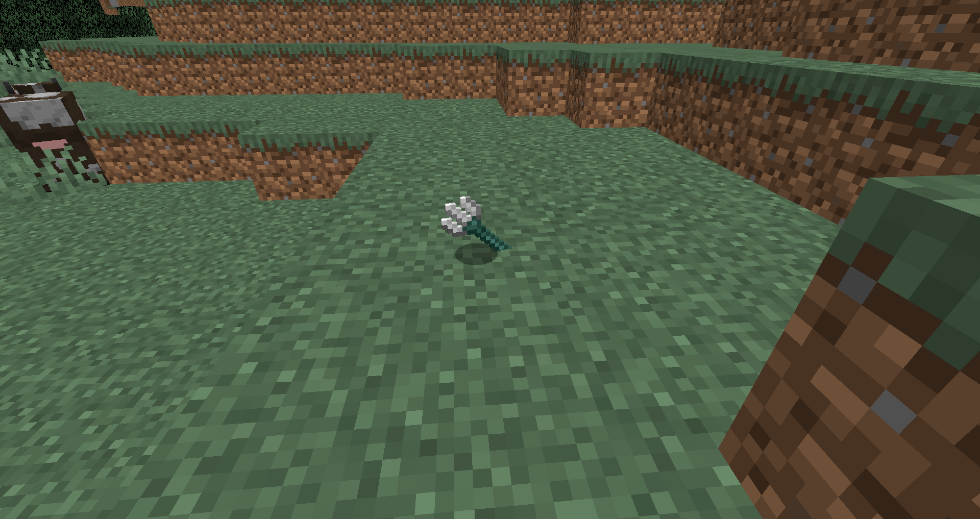Attached image file