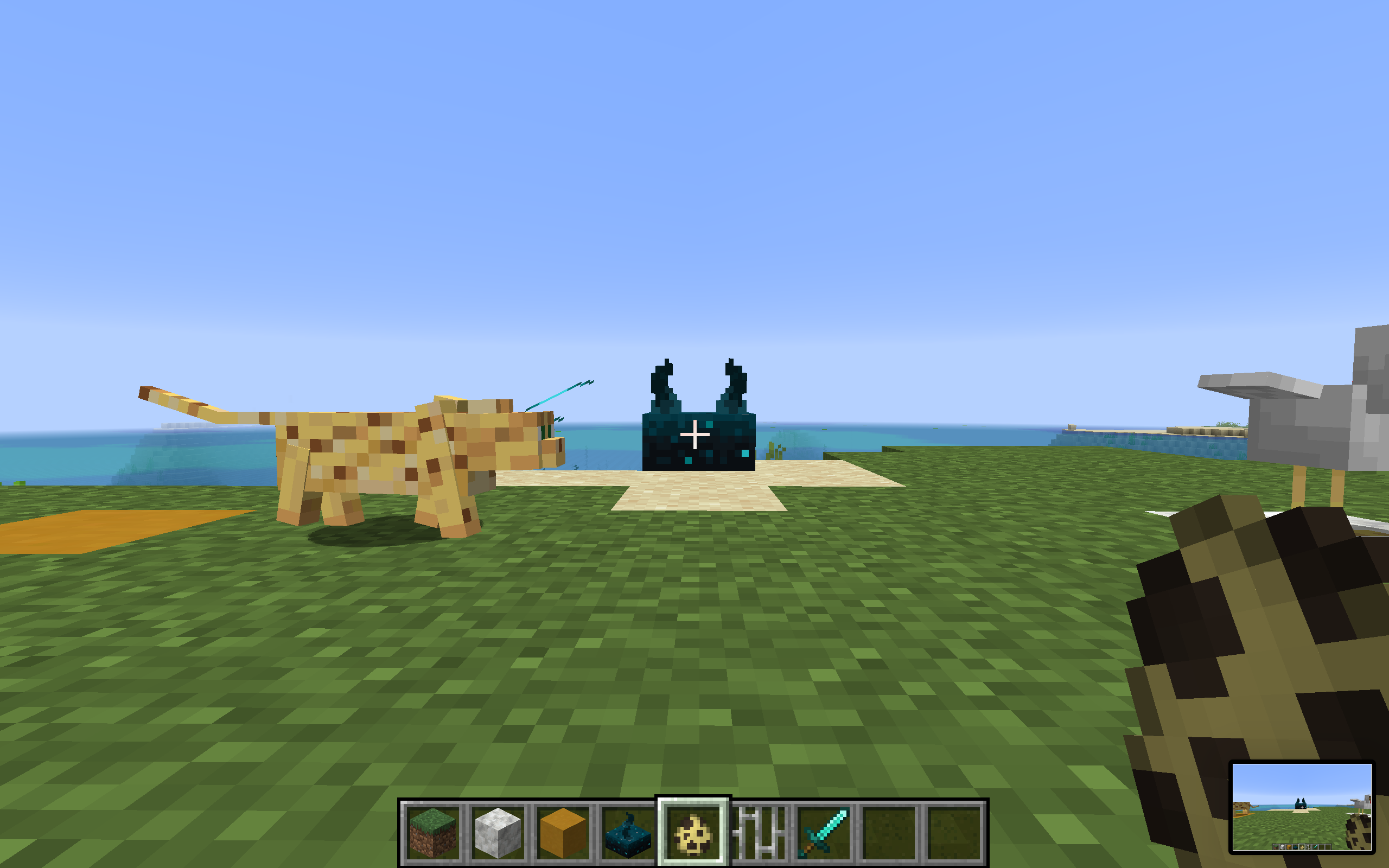 Attached image file