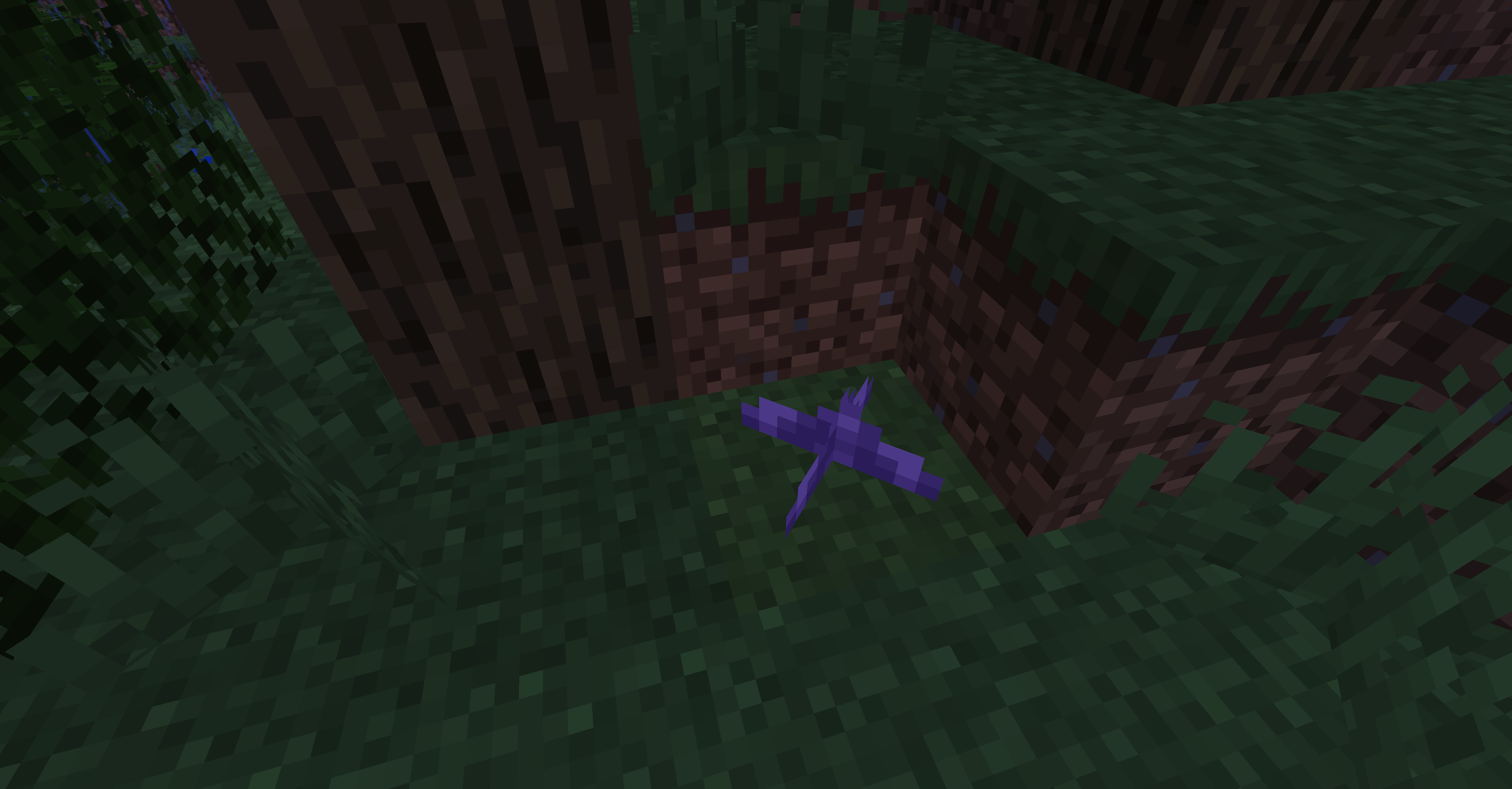 Attached image file