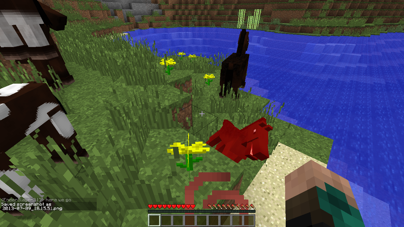 Attached image file