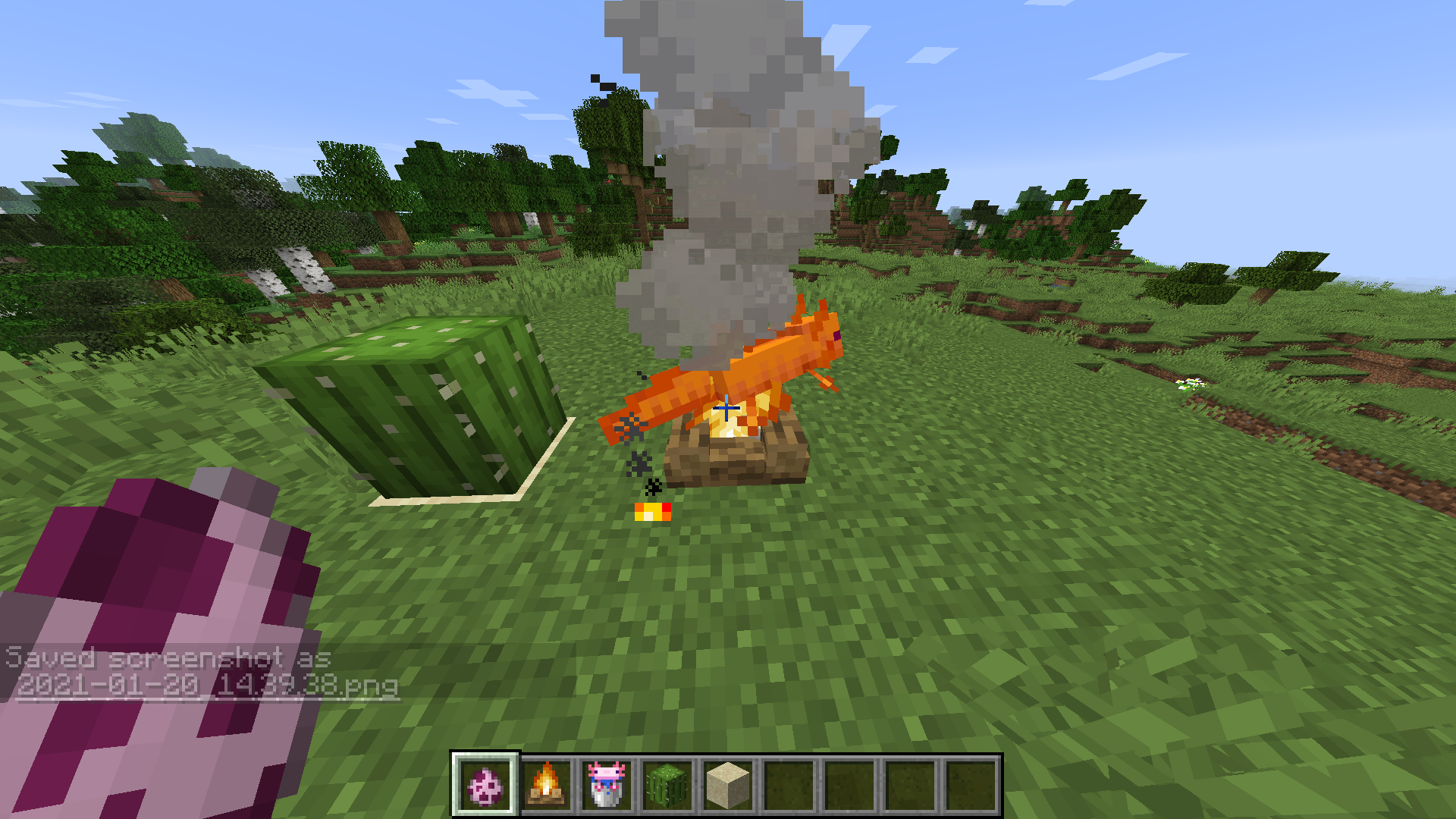 Attached image file