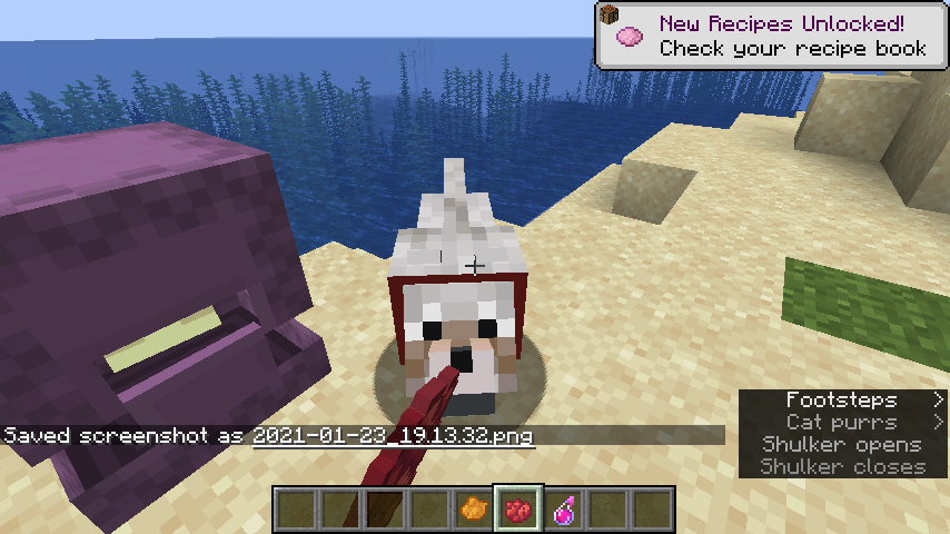 Attached image file