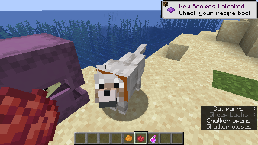 Attached image file