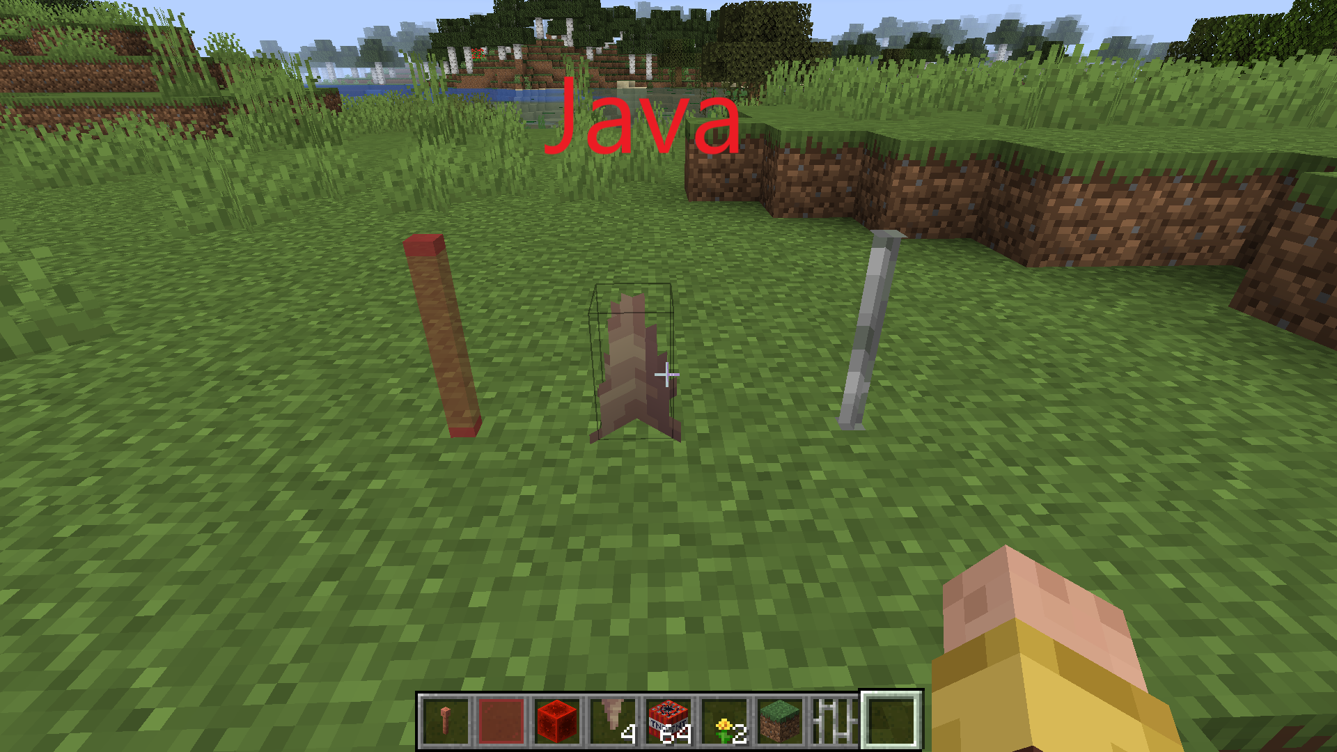 Attached image file