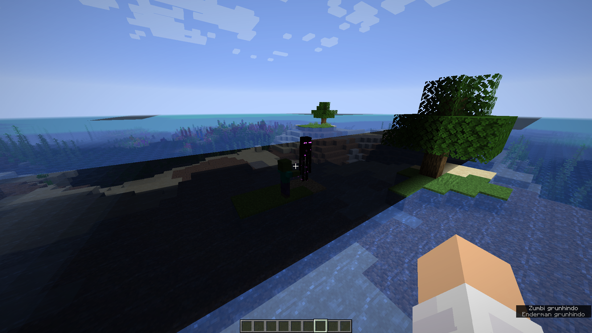 Attached image file