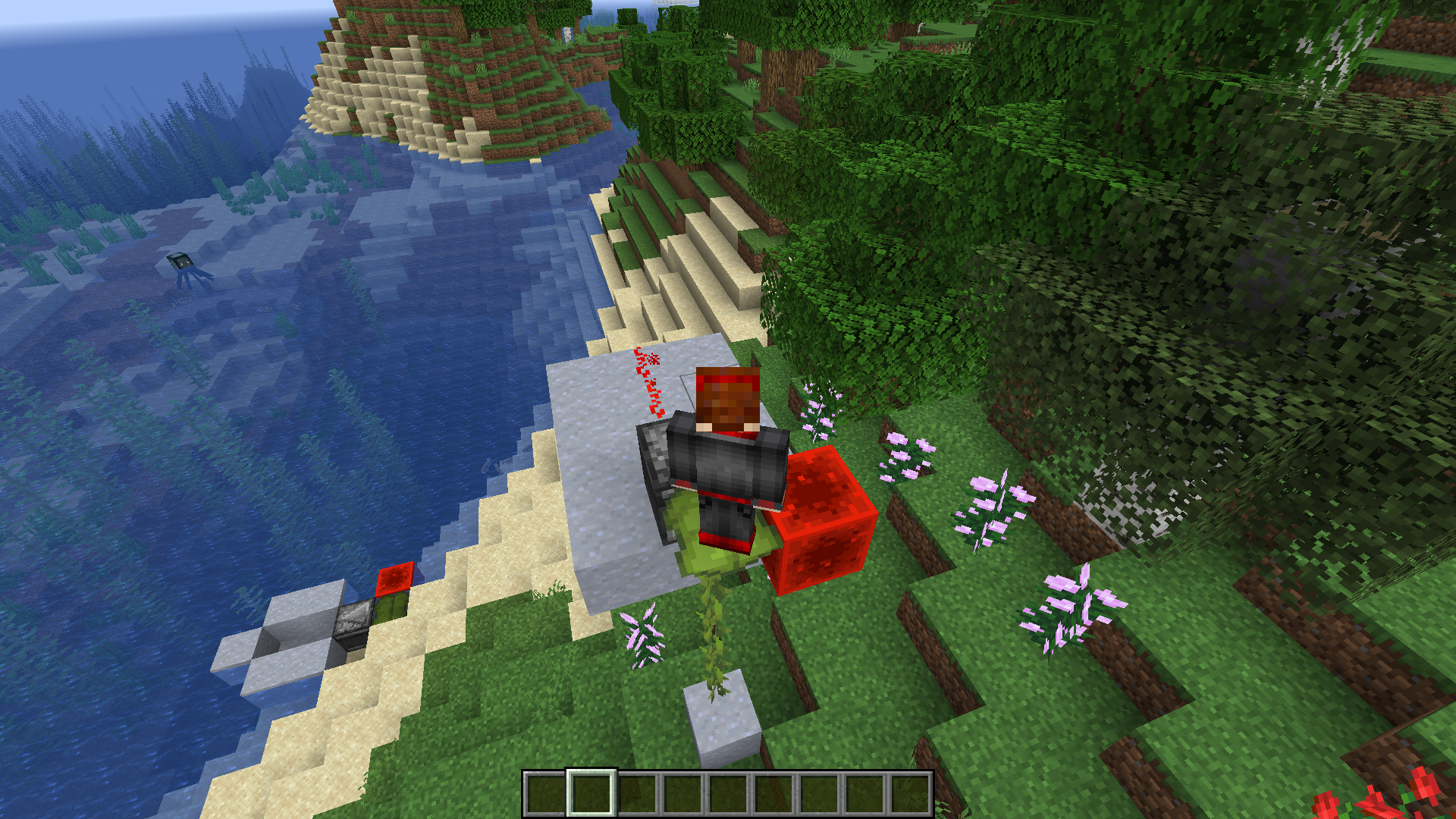 Attached image file