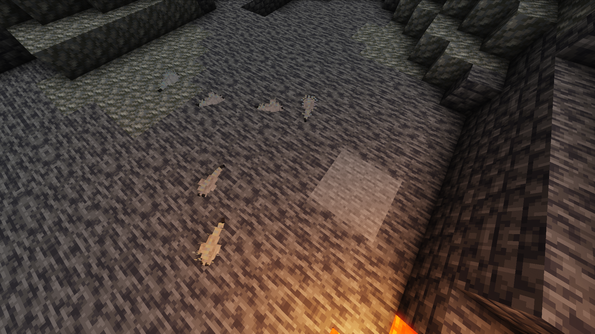 Attached image file
