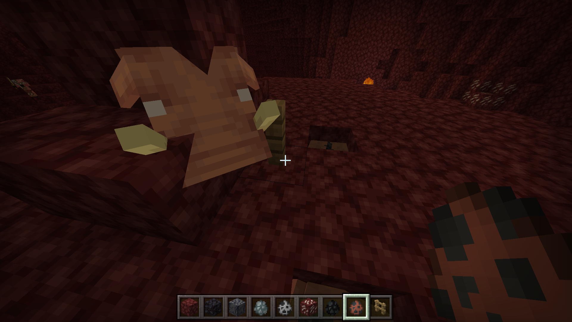 Attached image file