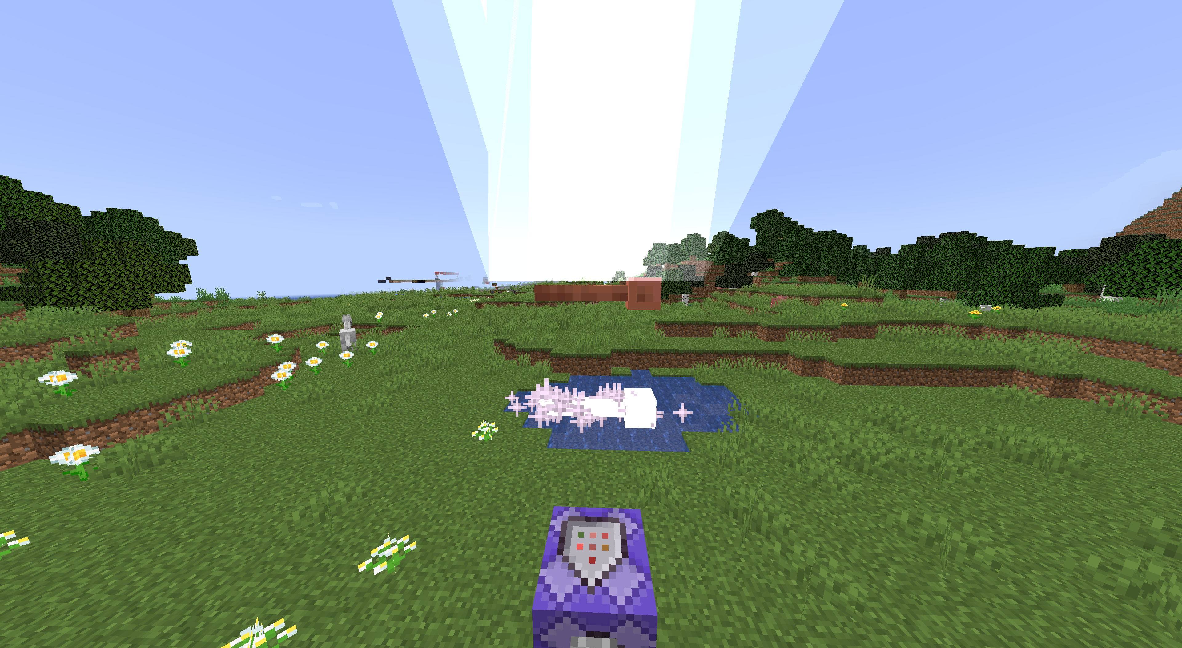 Attached image file