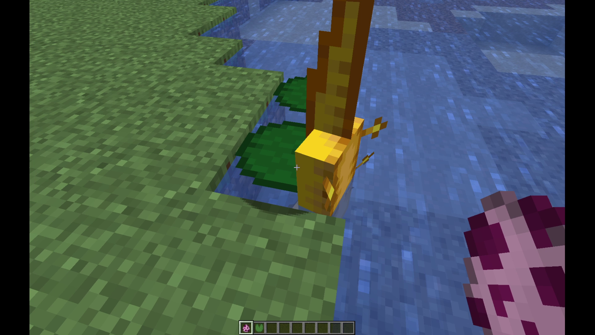 Attached image file
