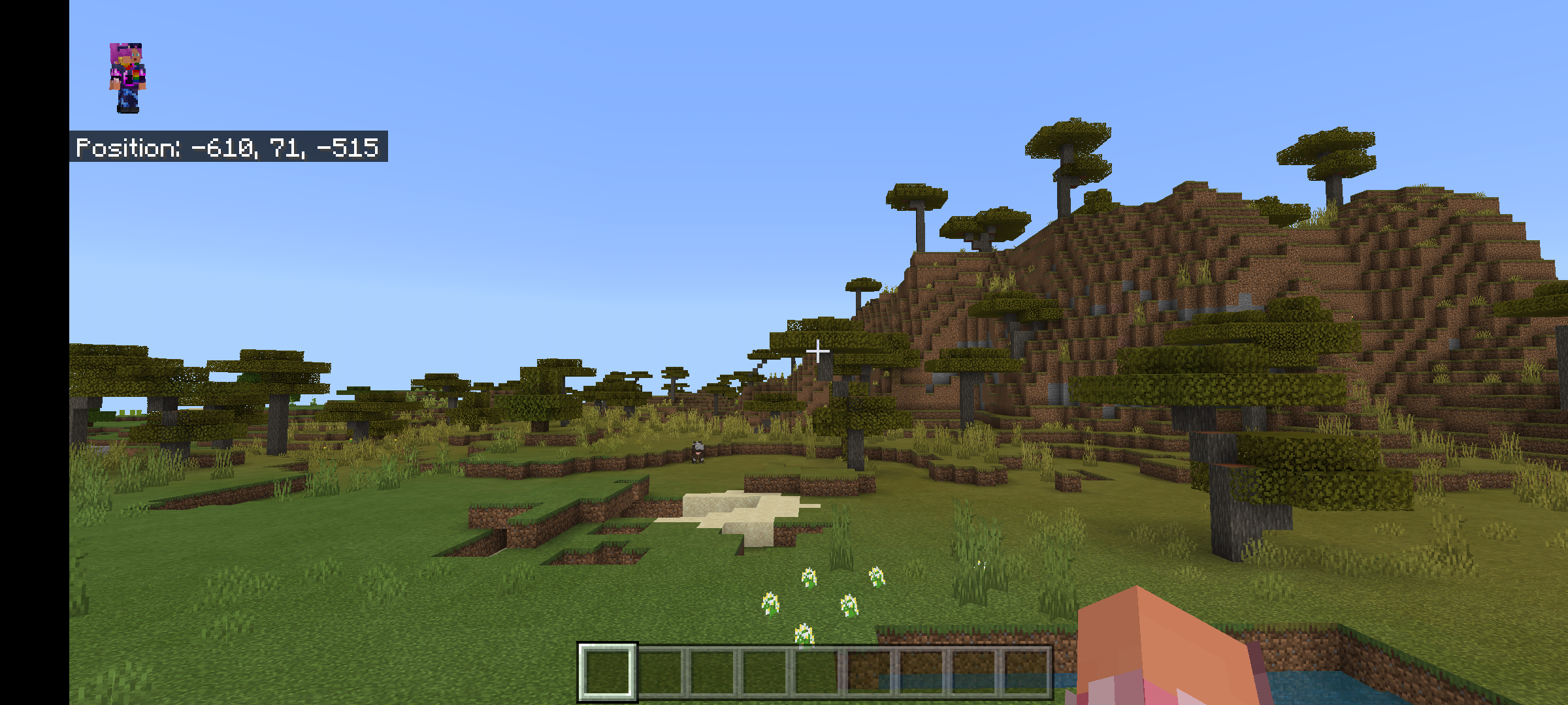 Attached image file