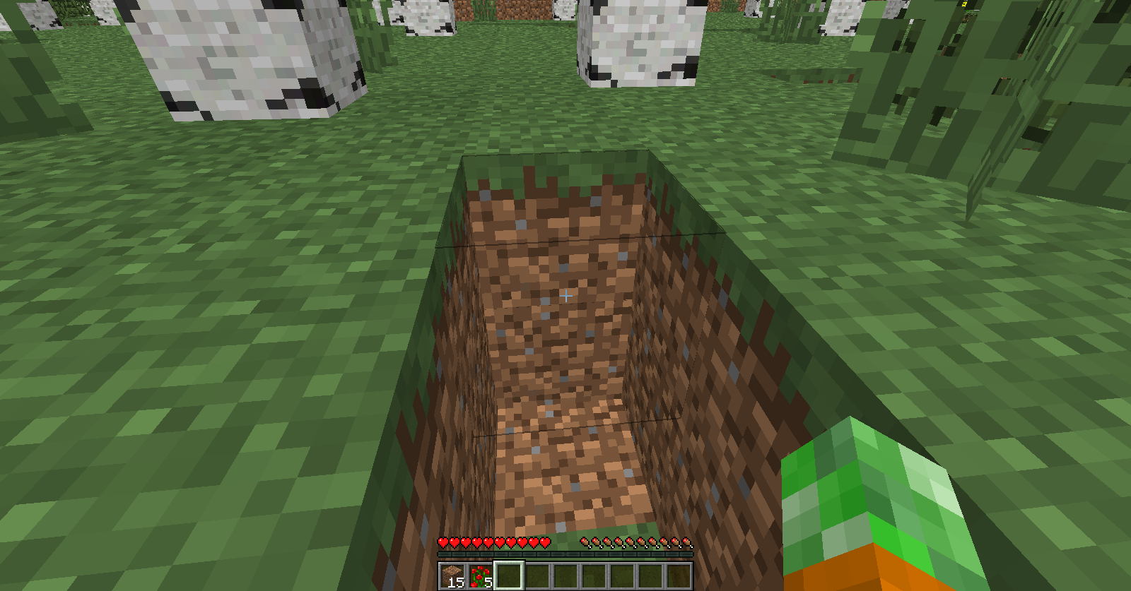 Attached image file